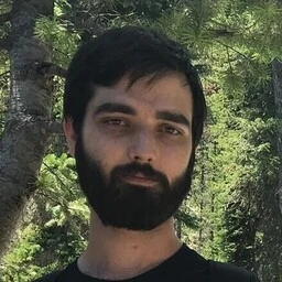 Picture of the author